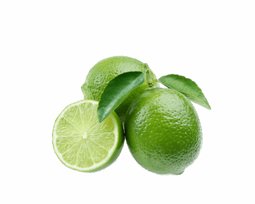 h3-product12 h3-product12
