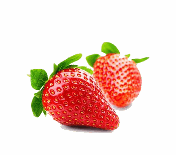 h3-product13 h3-product13